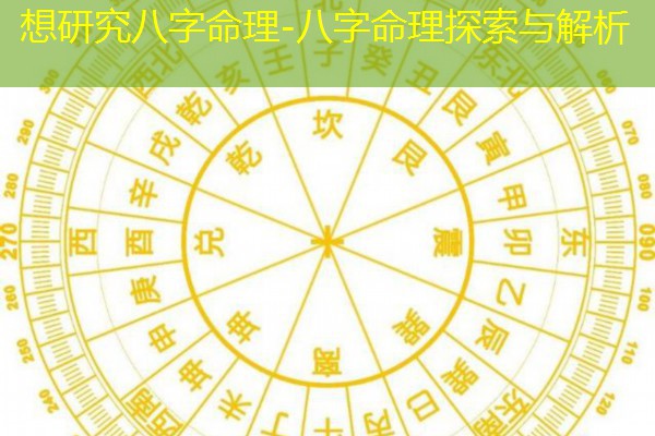  想研究八字命理-八字命理探索与解析